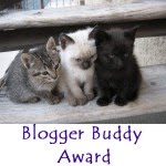 blogger buddy award_2